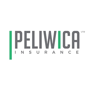 Peliwica Insuretech Development